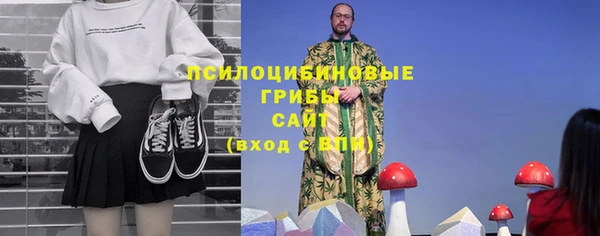 дмт Бородино