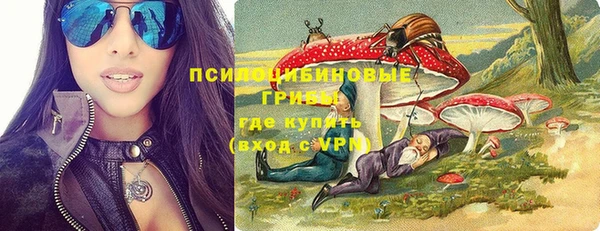 дмт Бородино