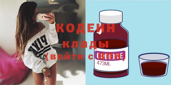 дмт Бородино