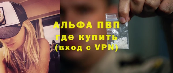 дмт Бородино