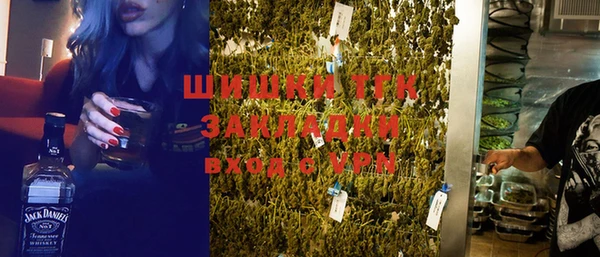 дмт Бородино