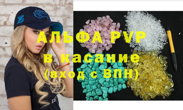 дмт Бородино