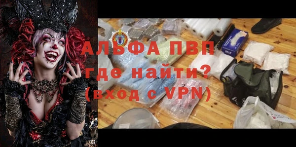 дмт Бородино