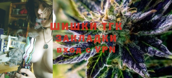 Альфа ПВП Бугульма