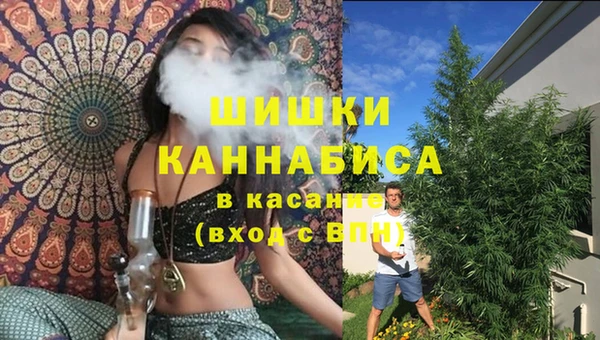 дмт Бородино