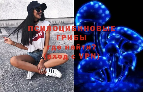 дмт Бородино