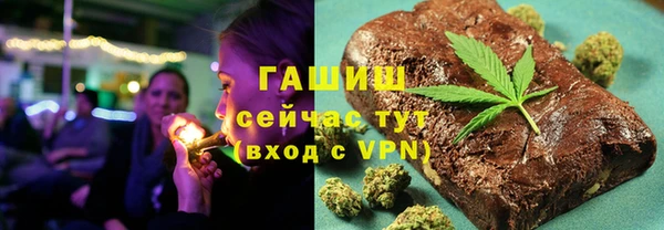 дмт Бородино