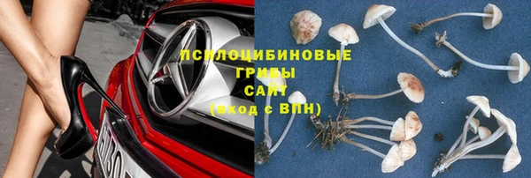 дмт Бородино